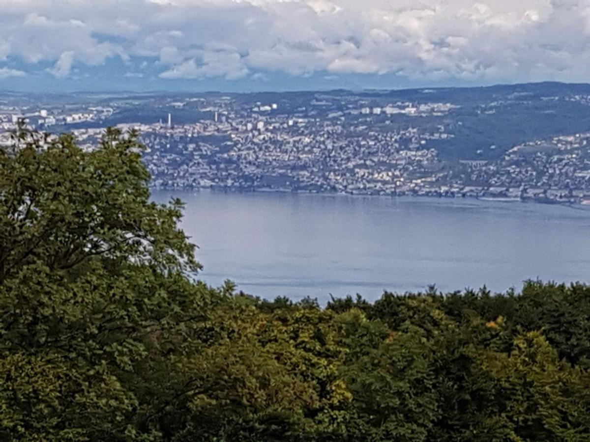 Superbe Appartement T2 3 Etoiles 40M2 Pied Des Pistes Vue Sur Le Lac Thollon-les-Memises Luaran gambar